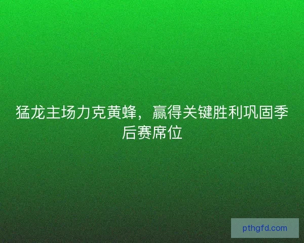 猛龙主场力克黄蜂，赢得关键胜利巩固季后赛席位
