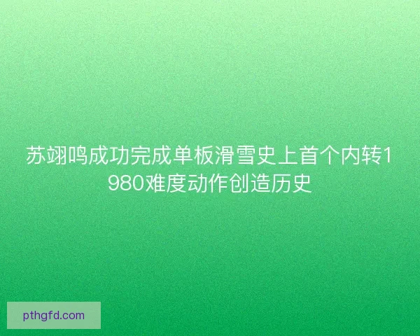 苏翊鸣成功完成单板滑雪史上首个内转1980难度动作创造历史